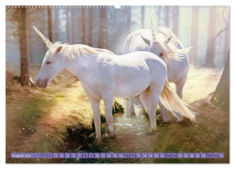 Produktbild: Einhorn Welt - vertr&auml;umte Einhornbilder (hochwertiger Premium Wandkalender 2026 DIN A2 quer), Kunstdruck in Hochglanz