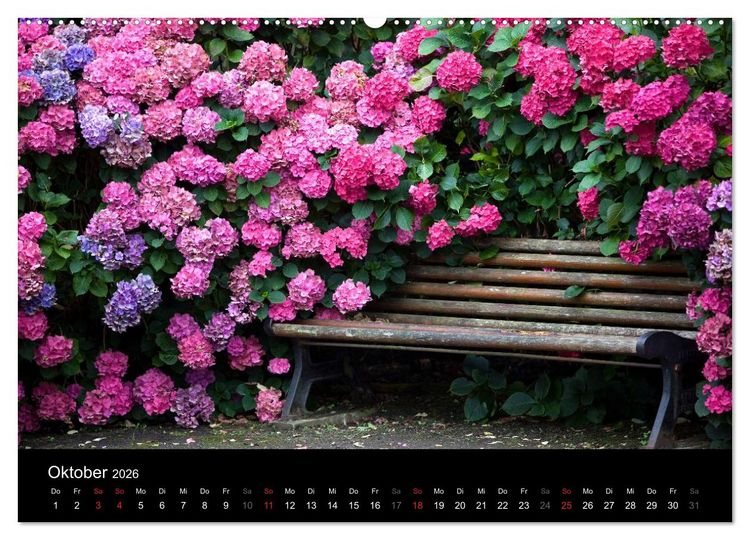 Produktbild: Bretagne - Fotoreise von der Cote de Granit Rose zur Ile de Brehat (hochwertiger Premium Wandkalender 2026 DIN A2 quer), Kunstdruck in Hochglanz