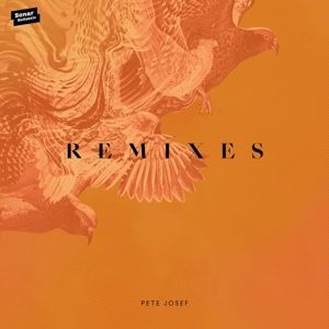 Produktbild: Remixes