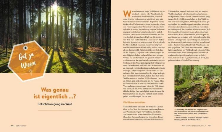 Produktbild: 52 x Natur pur