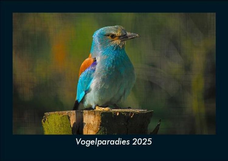 Produktbild: Vogelparadies 2025 Fotokalender DIN A5