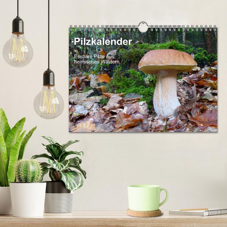 Produktbild: Pilzkalender (Wandkalender 2026 DIN A4 quer), CALVENDO Monatskalender