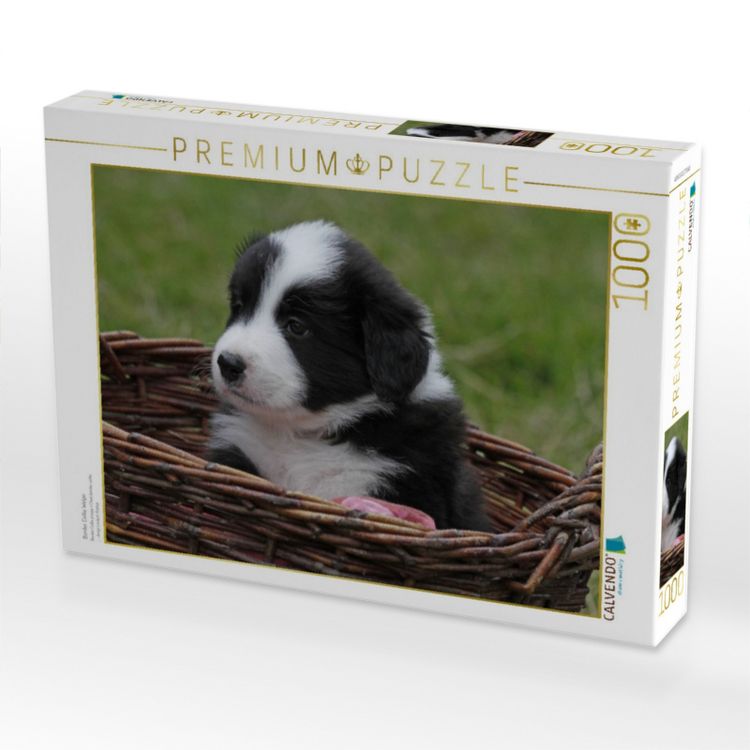Produktbild: CALVENDO Puzzle Border Collie Welpe | 1000 Teile Lege-Gr&ouml;&szlig;e 64x48cm Foto-Puzzle f&uuml;r gl&uuml;ckliche Stunden