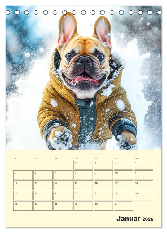 Produktbild: Lustige Flederm&auml;use. Franz&ouml;sische Bulldoggen bei der Freizeitgestaltung (Tischkalender 2026 DIN A5 hoch), CALVENDO Monatskalender