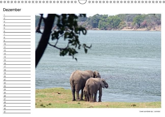 Produktbild: begegnungen - elefanten im s&uuml;dlichen afrika (Wandkalender immerw&auml;hrend DIN A3 quer)
