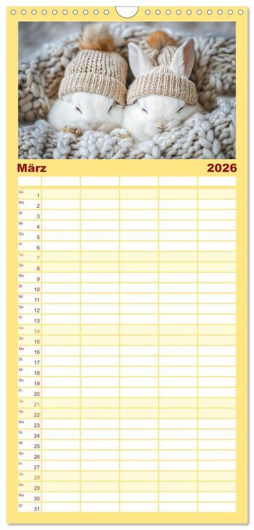 Produktbild: Familienplaner 2026 - Lustige Hasengeschichten mit 5 Spalten (Wandkalender, 21 x 45 cm) CALVENDO