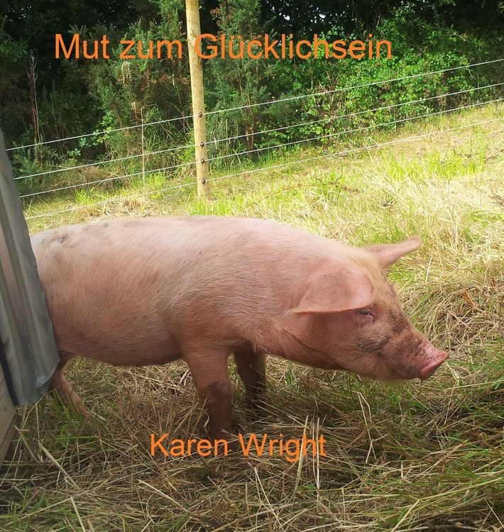 Produktbild: Mut zum Gl&uuml;cklichsein