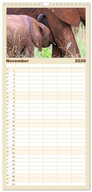 Produktbild: Familienplaner 2026 - begegnungen - elefanten im s&uuml;dlichen afrika mit 5 Spalten (Wandkalender, 21 x 45 cm) CALVENDO