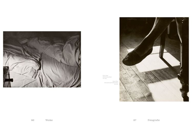 Produktbild: Raoul Hausmann (1886&ndash;1971). Vision. Provokation. Dada.