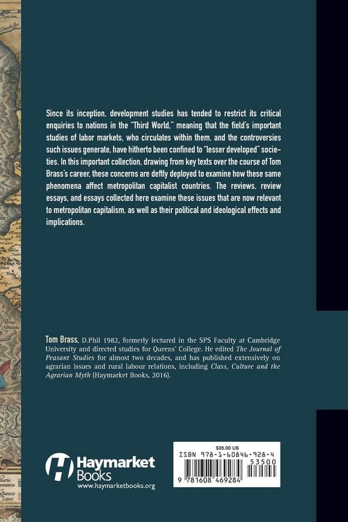 Produktbild: Labour Markets, Identities, Controversies
