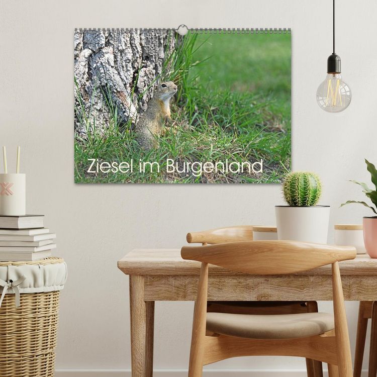 Produktbild: Ziesel im Burgenland (Wandkalender 2026 DIN A3 quer), CALVENDO Monatskalender