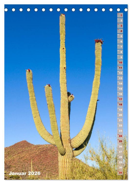 Produktbild: SAGUARO NATIONAL PARK W&uuml;stenimpressionen aus Arizona (Tischkalender 2026 DIN A5 hoch), CALVENDO Monatskalender
