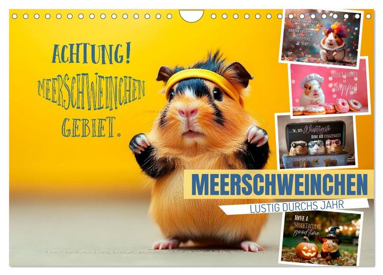 Produktbild: Meerschweinchen LUSTIG DURCHS JAHR (Wandkalender 2026 DIN A4 quer), CALVENDO Monatskalender