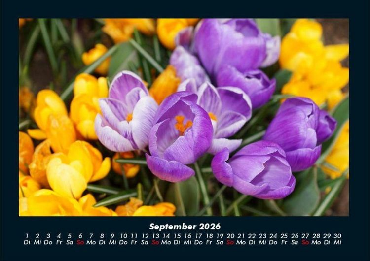Produktbild: Blumenzauber 2026 Fotokalender DIN A4