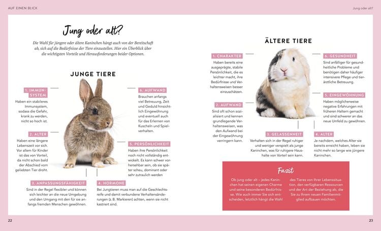 Produktbild: Kaninchen im Au&szlig;engehege