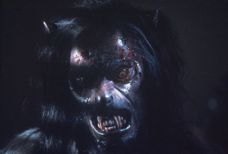 Produktbild: The Howling - Das Tier (4K Ultra HD) (+ Blu-ray)