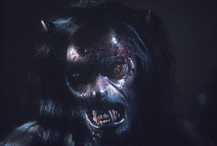 Produktbild: The Howling - Das Tier - Digital Remastered in 4K
