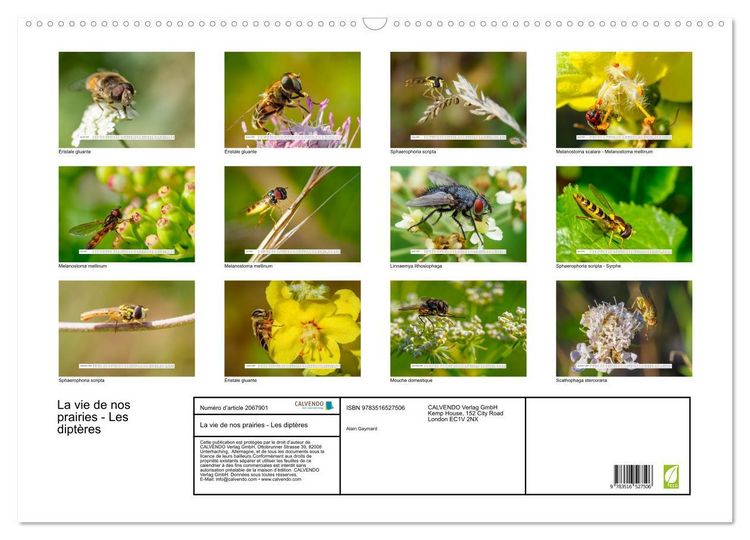 Produktbild: La vie de nos prairies - Les dipt&egrave;res (Calendrier mural 2026 DIN A2 vertical), CALVENDO calendrier mensuel