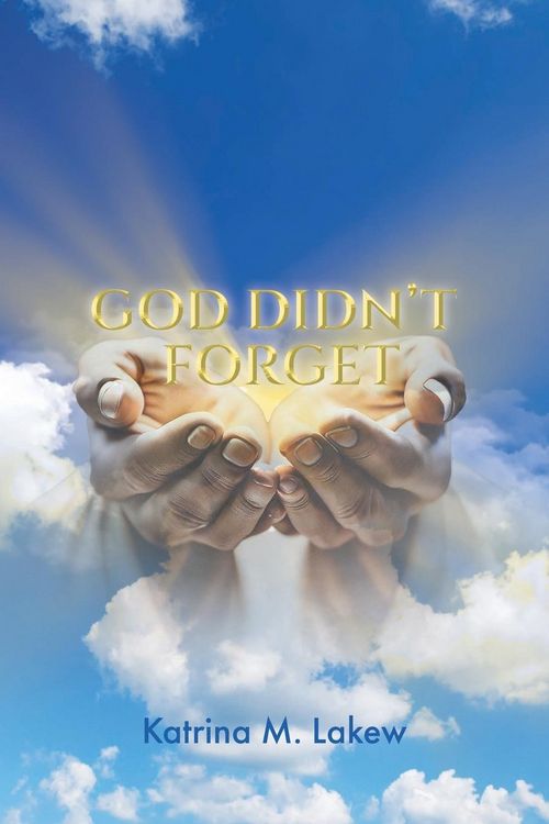 Produktbild: God Didn't Forget