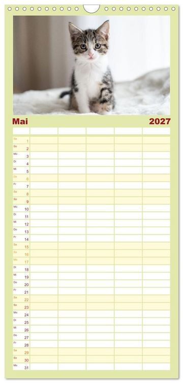 Produktbild: Familienplaner 2027 - Kitten auf Entdeckungsreise mit 5 Spalten (Wandkalender, 21 x 45 cm) CALVENDO