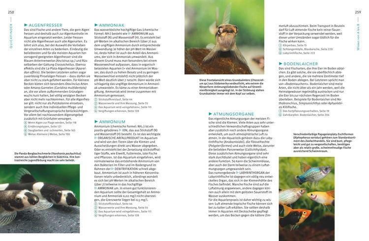 Praxishandbuch Aquarium