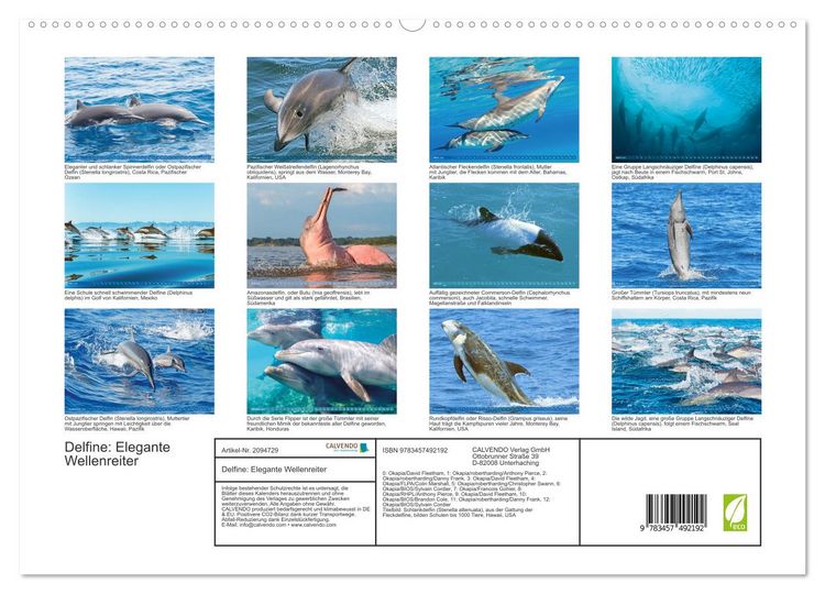 Produktbild: Delfine: Elegante Wellenreiter (hochwertiger Premium Wandkalender 2026 DIN A2 quer), Kunstdruck in Hochglanz