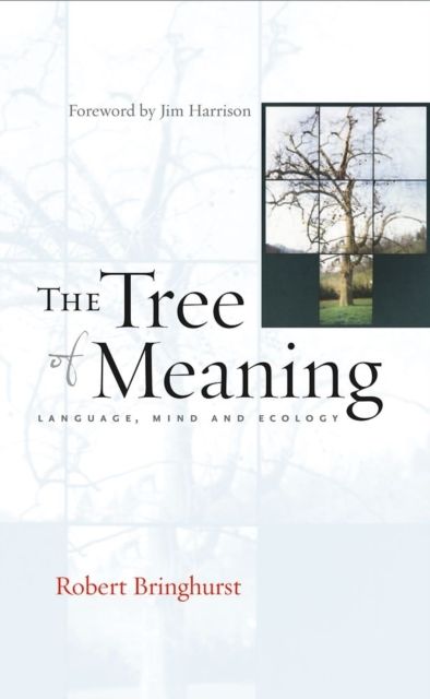 Produktbild: Bringhurst, R: The Tree of Meaning