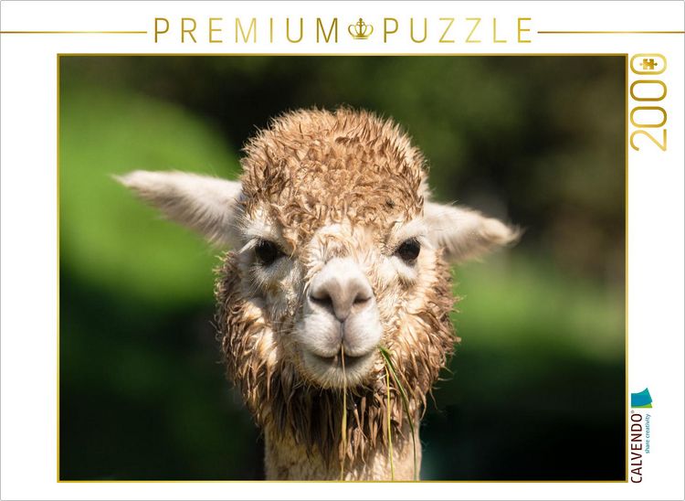 Produktbild: CALVENDO Puzzle Alpaka | 2000 Teile Lege-Gr&ouml;&szlig;e 90x67cm Foto-Puzzle f&uuml;r gl&uuml;ckliche Stunden