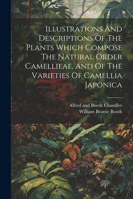 Produktbild: Illustrations And Descriptions Of The Plants Which Compose The Natural Order Camellieae, And Of The Varieties Of Camellia Japonica