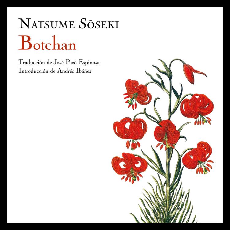 Produktbild: Botchan