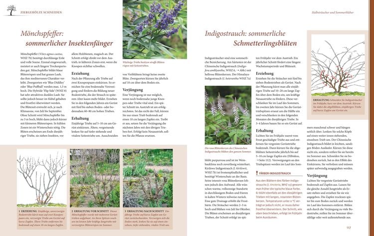 Das große GU Praxishandbuch Pflanzenschnitt