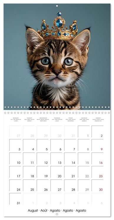 Produktbild: Kitten kings - Cute kings of hearts (Wall Calendar 2026 12 &times; 12 Inch) CALVENDO 12 Month Wall Calendar