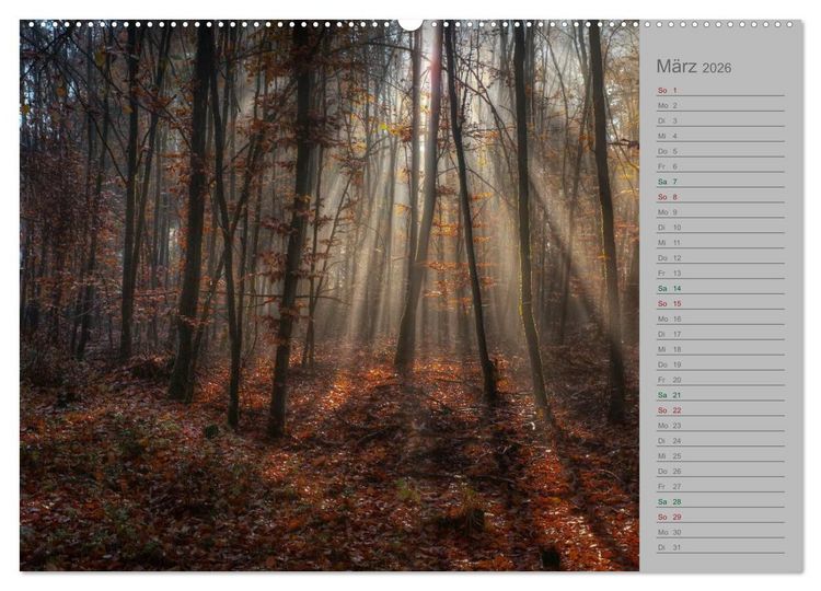 Produktbild: Planungskalender M&auml;rchenwald 2026 (hochwertiger Premium Wandkalender 2026 DIN A2 quer), Kunstdruck in Hochglanz