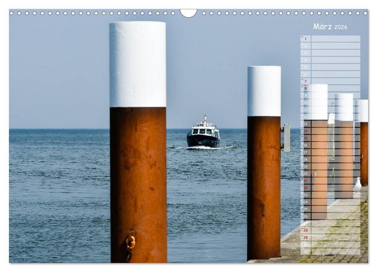 Produktbild: Ein Sommer auf Texel (Wandkalender 2026 DIN A3 quer), CALVENDO Monatskalender