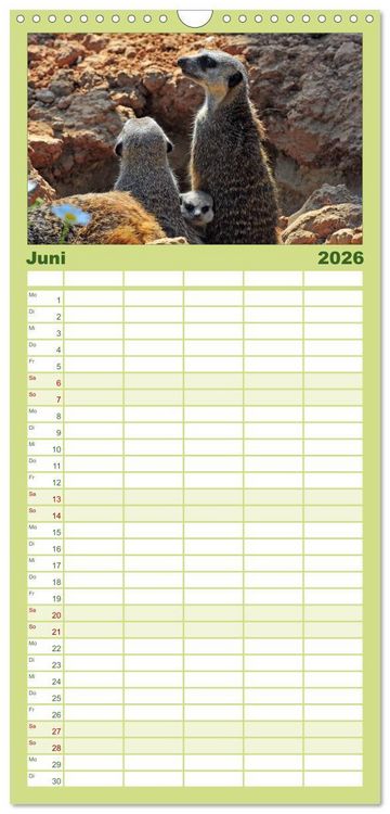 Produktbild: Familienplaner 2026 - Erdm&auml;nnchens Kinderstube mit 5 Spalten (Wandkalender, 21 x 45 cm) CALVENDO