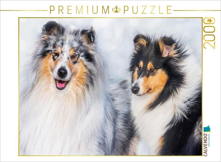 Produktbild: CALVENDO Puzzle Collies - R&uuml;de und H&uuml;ndin | 2000 Teile Lege-Gr&ouml;&szlig;e 90x67cm Foto-Puzzle f&uuml;r gl&uuml;ckliche Stunden