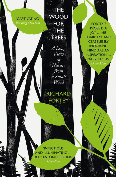 Produktbild: WOOD FOR TREES PB