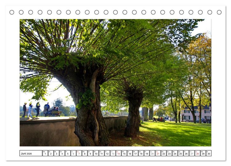 Produktbild: Am Niederrhein. Der Altkreis Moers (Tischkalender 2026 DIN A5 quer), CALVENDO Monatskalender
