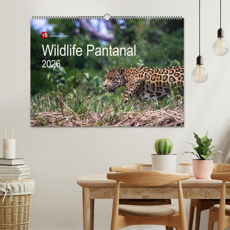 Produktbild: Wildlife Pantanal 2026 (Wandkalender 2026 DIN A2 quer), CALVENDO Monatskalender