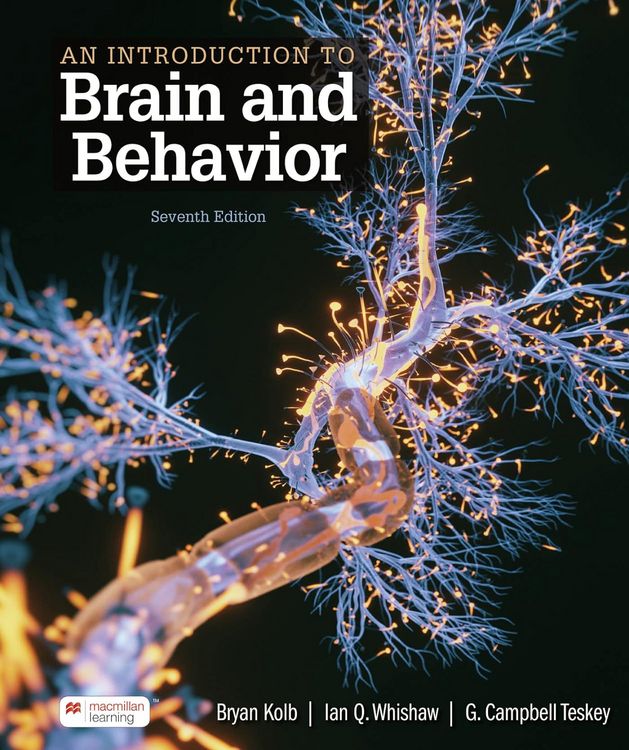 Produktbild: An Introduction to Brain and Behavior (International Edition)