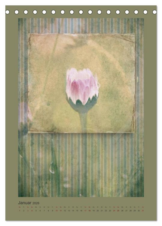 Produktbild: Vintage Style (Tischkalender 2026 DIN A5 hoch), CALVENDO Monatskalender