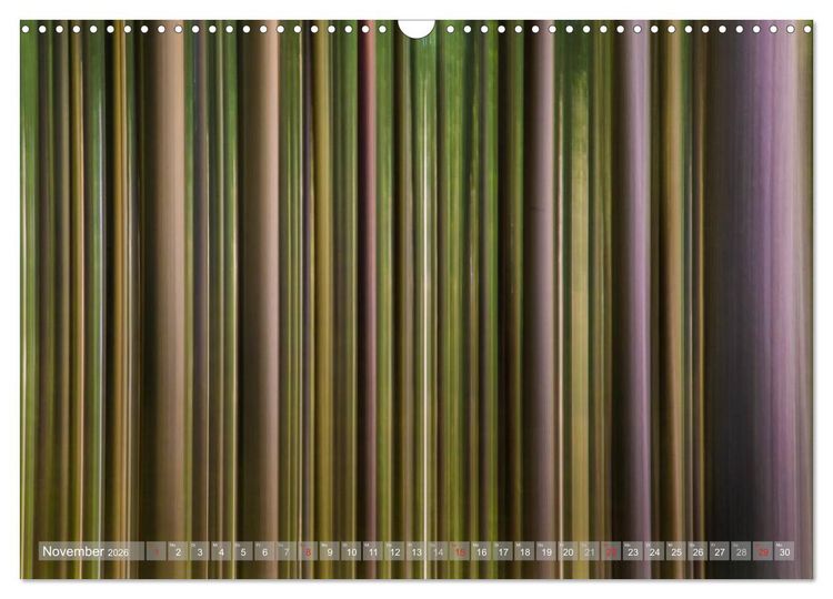 Produktbild: Atelier Wald - gemalt mit Licht (Wandkalender 2026 DIN A3 quer), CALVENDO Monatskalender
