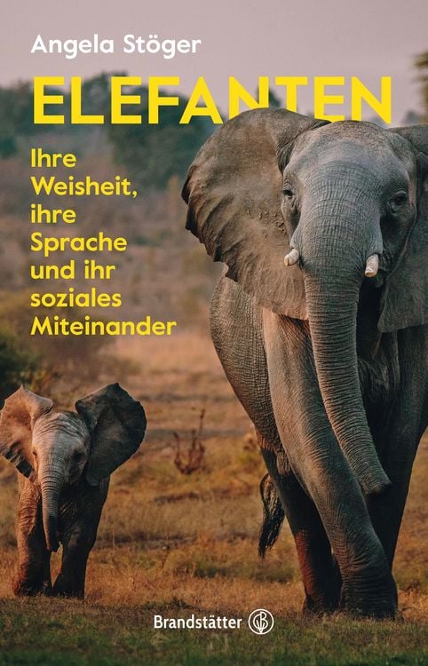 Produktbild: Elefanten