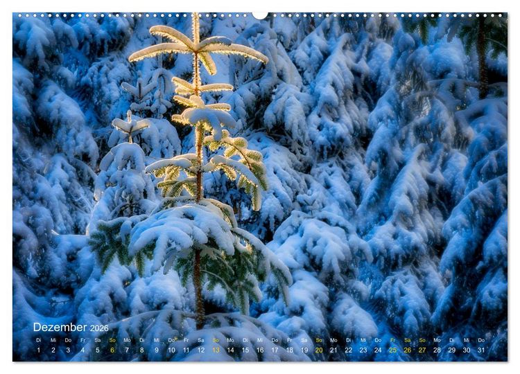 Produktbild: Traum Momente (Wandkalender 2026 DIN A2 quer), CALVENDO Monatskalender
