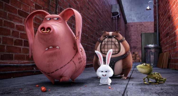 Produktbild: Pets (Illumination)