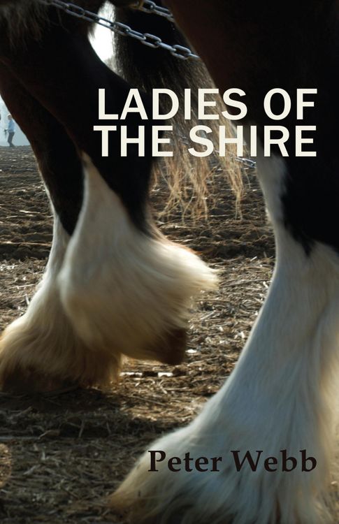Produktbild: Ladies of the Shire