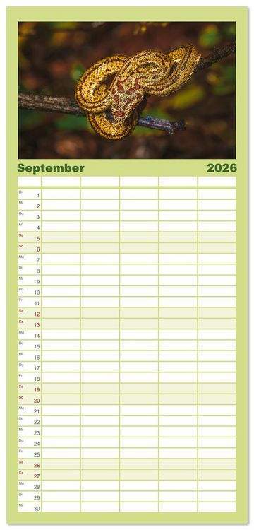 Produktbild: Familienplaner 2026 - Faszination Schlangen mit 5 Spalten (Wandkalender, 21 x 45 cm) CALVENDO