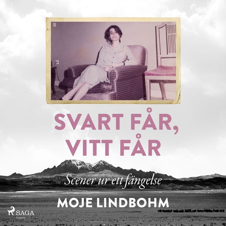 Produktbild: Svart f&aring;r, vitt f&aring;r : Scener ur ett f&auml;ngelse