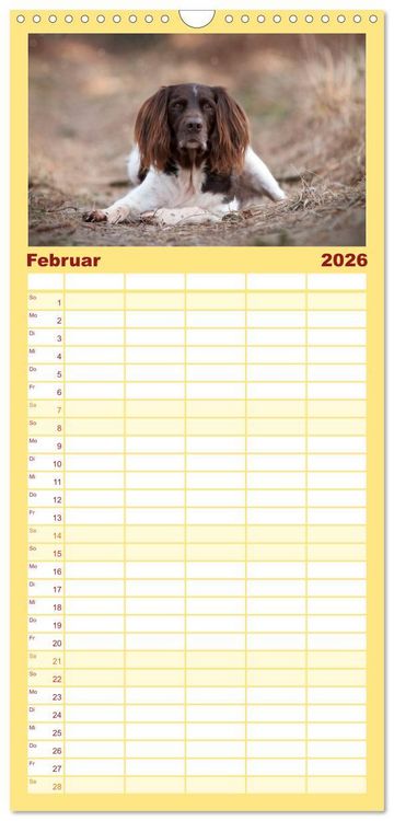 Produktbild: Familienplaner 2026 - Passion Jagdhund - Kleiner M&uuml;nsterl&auml;nder mit 5 Spalten (Wandkalender, 21 x 45 cm) CALVENDO