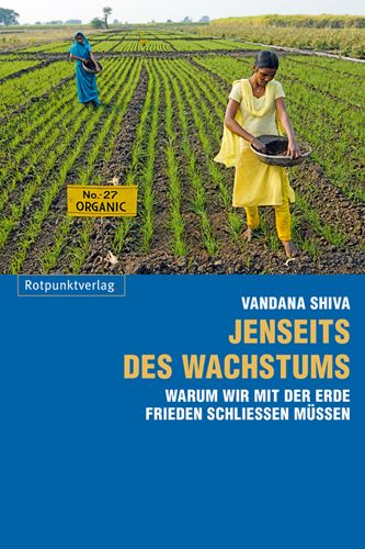 Produktbild: Jenseits des Wachstums